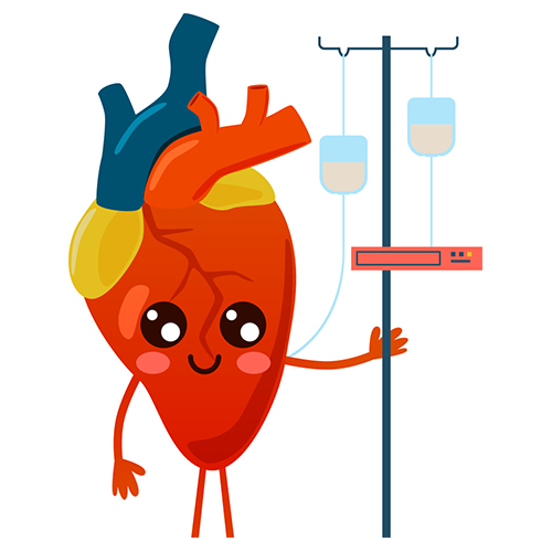 Heart and Circulatory