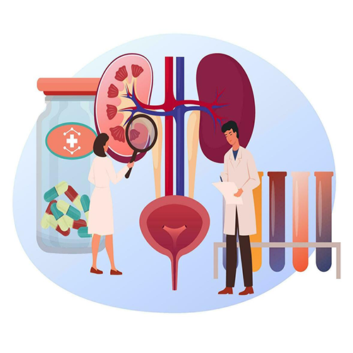 Kidney Diseases